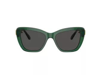Swarovski Zonnebril SK 6018 104587
