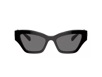 Swarovski Zonnebril SK 6021 100181