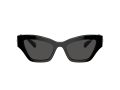 Swarovski Zonnebril SK 6021 100187