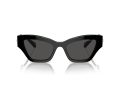 Swarovski Zonnebril SK 6021 100187