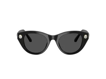Swarovski Zonnebril SK 6025 100187