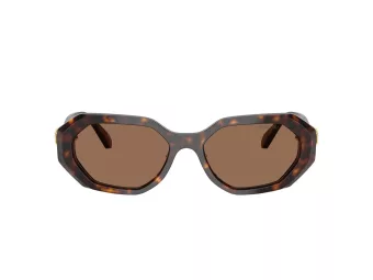 Swarovski Zonnebril SK 6028 100273