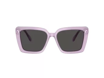 Swarovski Zonnebril SK 6032 107587