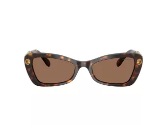 Swarovski Zonnebril SK 6033 100273