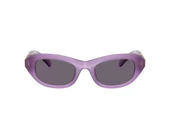 Swarovski Zonnebril SK 6036U 10751A