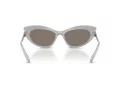 Swarovski Zonnebril SK 6038 10596G