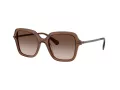 Swarovski Zonnebril SK 6040 106713
