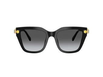 Swarovski Zonnebril SK 6041 1001T3