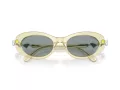 Swarovski Zonnebril SK 6042 1080/1