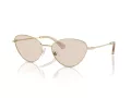 Swarovski Zonnebril SK 7014 4013M4