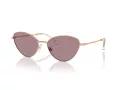 Swarovski Zonnebril SK 7014 40147N