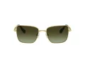 Swarovski Zonnebril SK 7015 4004E8