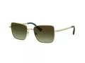 Swarovski Zonnebril SK 7015 4004E8