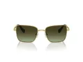 Swarovski Zonnebril SK 7015 4004E8