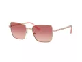 Swarovski Zonnebril SK 7015 4013A5