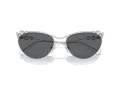Swarovski Zonnebril SK 7017 400187