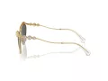 Swarovski Zonnebril SK 7017 400487