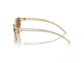 Swarovski Zonnebril SK 7025 400473