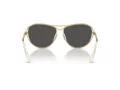 Swarovski Zonnebril SK 7028 400487