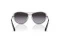 Swarovski Zonnebril SK 7028 40098G