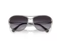 Swarovski Zonnebril SK 7028 40098G