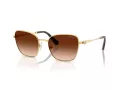 Swarovski Zonnebril SK 7029 400774