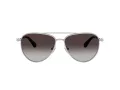 Swarovski Zonnebril SK 7031 40018G