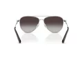Swarovski Zonnebril SK 7031 40018G