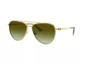 Swarovski Zonnebril SK 7031 4017E8