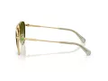 Swarovski Zonnebril SK 7031 4017E8