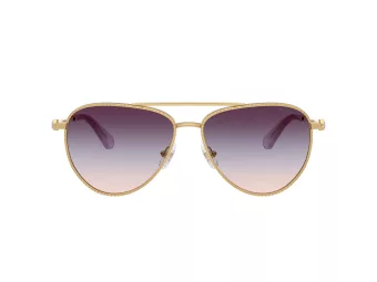 Swarovski Zonnebril SK 7031 4036U7