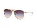 Swarovski Zonnebril SK 7031 4036U7