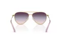 Swarovski Zonnebril SK 7031 4036U7