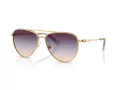 Swarovski Zonnebril SK 7031 4036U7
