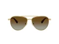 Swarovski Zonnebril SK 7031 4037T5