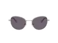 Swarovski Zonnebril SK 7032 40011A