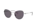 Swarovski Zonnebril SK 7032 40011A