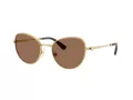Swarovski Zonnebril SK 7032 400473
