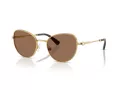 Swarovski Zonnebril SK 7032 400473