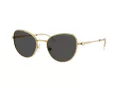 Swarovski Zonnebril SK 7032 400487