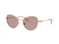 Swarovski Zonnebril SK 7032 40147N