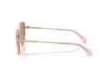 Swarovski Zonnebril SK 7032 40147N