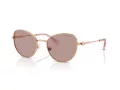 Swarovski Zonnebril SK 7032 40147N