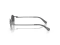Swarovski Zonnebril SK 7033 40096G