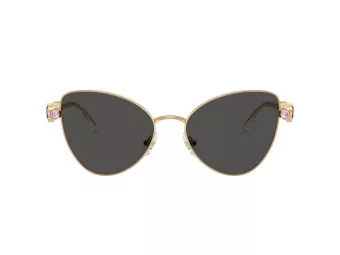 Swarovski Zonnebril SK 7034 404M87