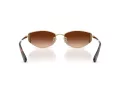 Swarovski Zonnebril SK 7035D 401374