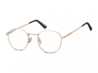 Berkeley Brillen 604 F