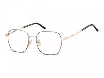 Berkeley Brillen 913B