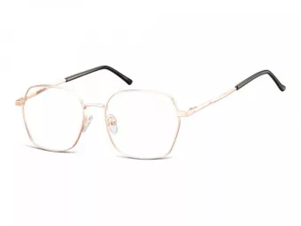 Berkeley Brillen 913F