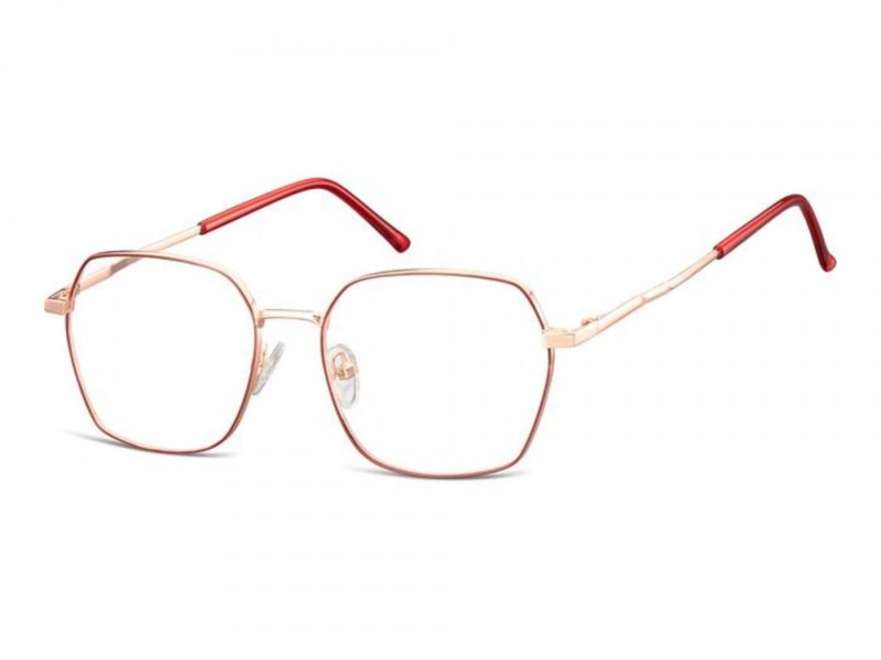 Berkeley Brillen 913